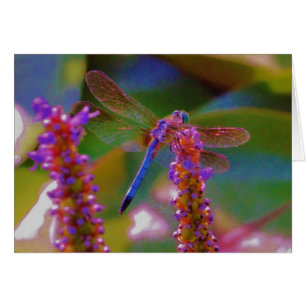 Fuchsia  flower and dragon fly