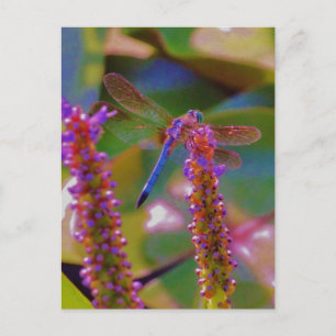 Fuchsia flower and dragon fly postcard
