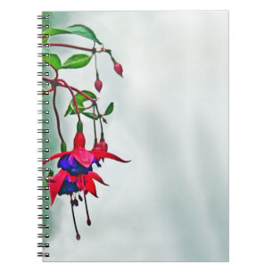 Fuchsia Notebook