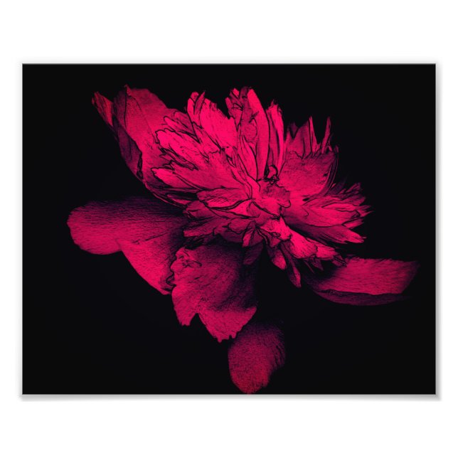 Fuchsia Peony Flower Abstract Floral Art 8x10 Photo Print (Front)