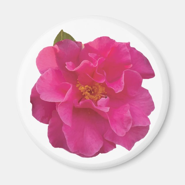 Fuchsia Pink Camellia Realistic Floral Magnet (Front)