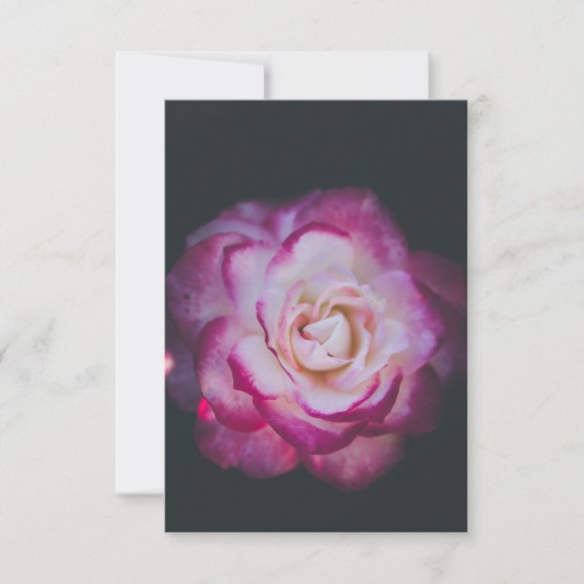 Fuchsia rose flower thank you card (Front)