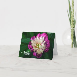 "FUCHSIA & WHITE PEONY" CARD