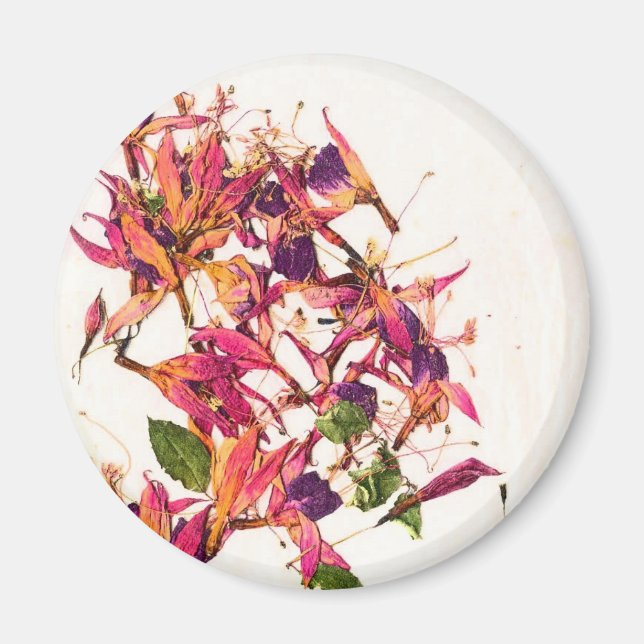 FUCHSIAS I MAGNET (Front)