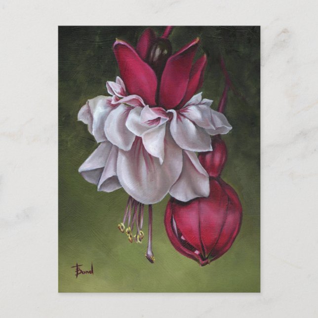 Fuchsias Postcard (Front)