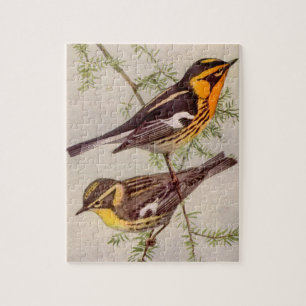 Fuertes Blackburnian Warbler Bird Painting Jigsaw Puzzle