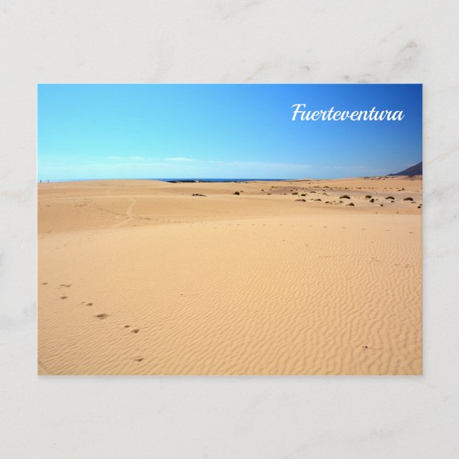 Fuerteventura beach - postcard (Front)