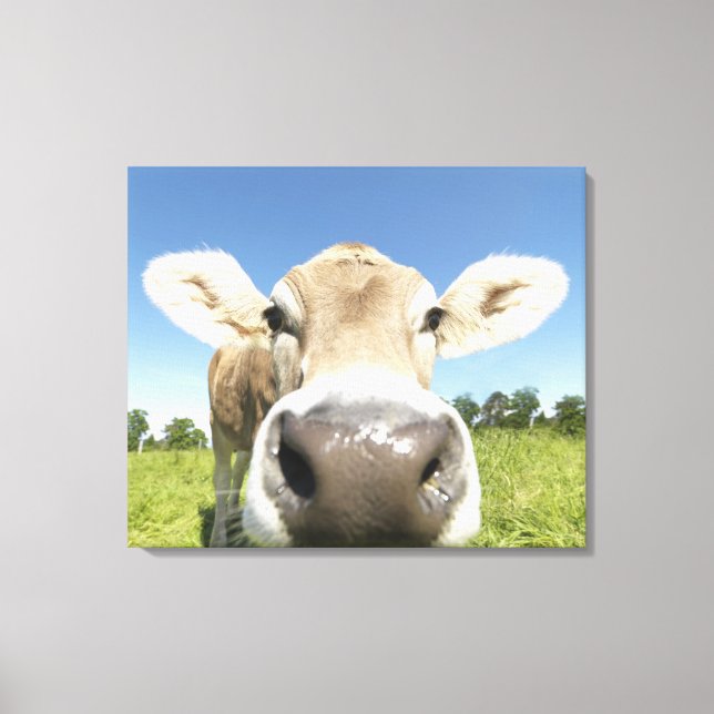 Fuessen, Bavaria, Germany Canvas Print (Front)