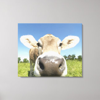Fuessen, Bavaria, Germany Canvas Print