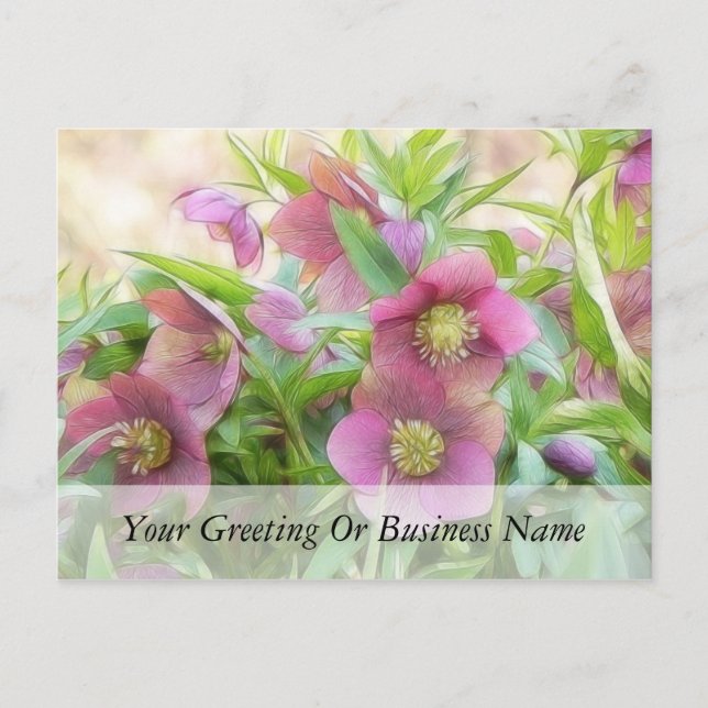 Full Bloom - Hellebores! Postcard (Front)