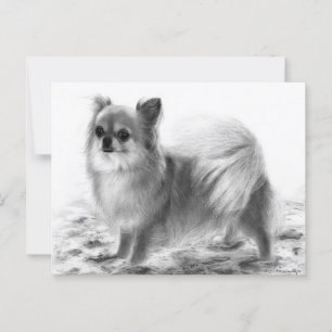 Full Body Chihuahua Hand Painted Artwork Postcard