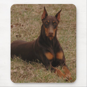 Full Colour Red and Rust Doberman Pinscher Mouse Pad
