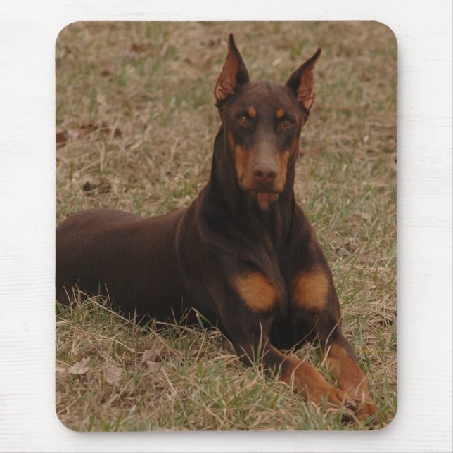 Full Colour Red and Rust Doberman Pinscher Mouse Pad (Front)