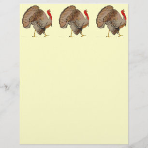 Full Colour Thanksgiving Turkey