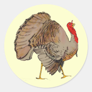 Full Colour Thanksgiving Turkey Classic Round Sticker