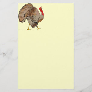 Full Colour Thanksgiving Turkey Stationery