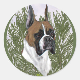 Full Face Boxer Head Study Classic Round Sticker