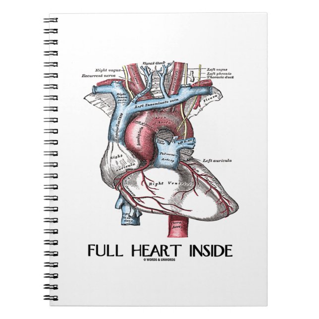 Full Heart Inside Anatomical Illustration Spiral Notebook (Front)