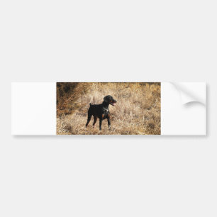 full in field bumper sticker