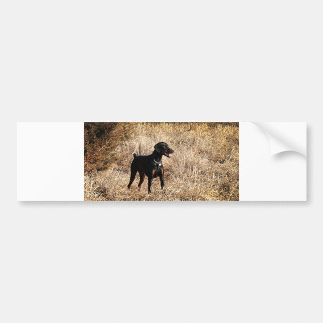 full in field bumper sticker (Front)