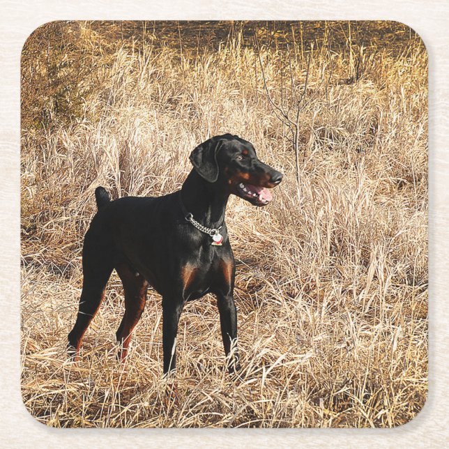 full in field square paper coaster (Front)