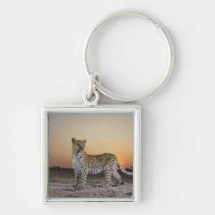 Full length view  of  Leopard (Panthera pardus) Key Ring