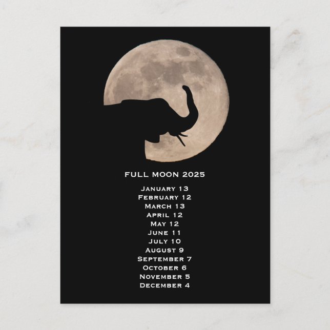 Full Moon 2025 Postcard (Front)