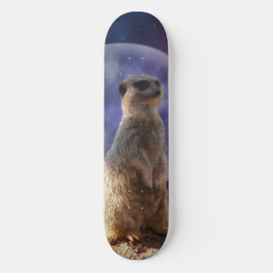Full Moon And Meerkat, Skateboard