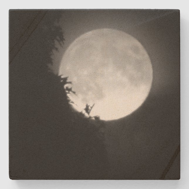 Full Moon and Tree Stone Coaster (Front)