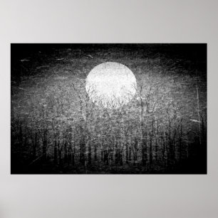Full moon at winter night   Black and White Art Poster