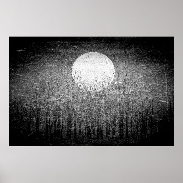 Full moon at winter night | Black and White Art Poster (Front)