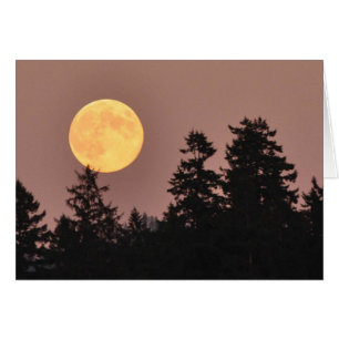 Full Moon August 2013 - Frameable Art Card