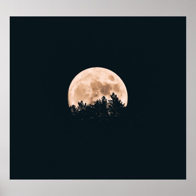 FULL MOON BEHIND A TREE SILHOUETTES POSTER (Front)