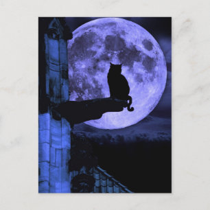 Full Moon Cat Postcard