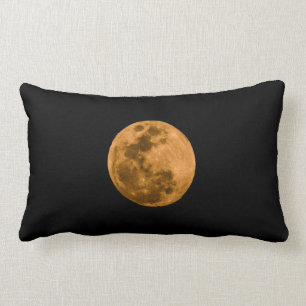 Full moon lumbar cushion
