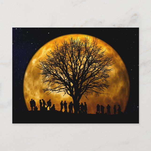 Full Moon Midnight Postcard (Front)