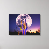 Full Moon Over Saguaro Cactus