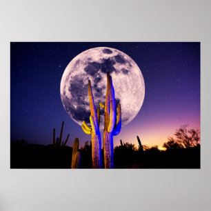 Full Moon Over Saguaro Cactus Poster