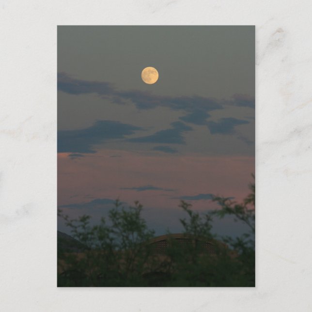 Full Moon over Scottsdale Postcard (Front)