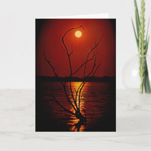 Full Moon Over the Lake notecard