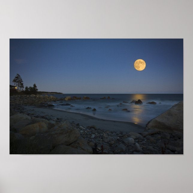 Full Moon Over White Point Poster (Front)