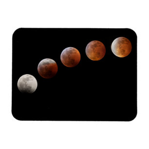Full Moon Phases Total Lunar Eclipse Colorado Magnet