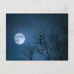 Full Moon Postcard