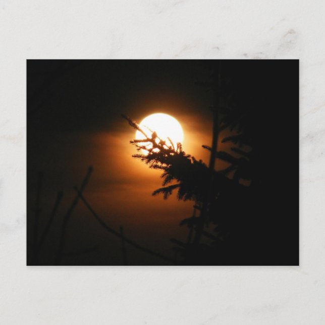 Full Moon Postcard (Front)