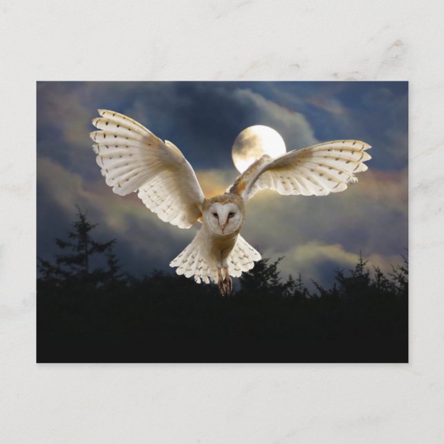 "Full Moon" Postcard (Front)