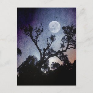 Full Moon Postcard