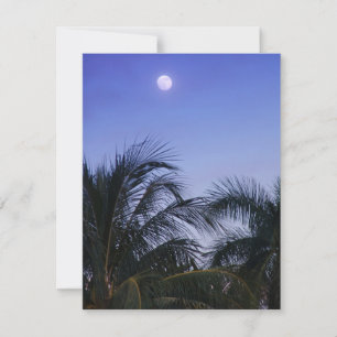 Full Moon Rises