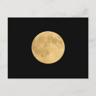 Full Moon   Seattle, Washington Postcard