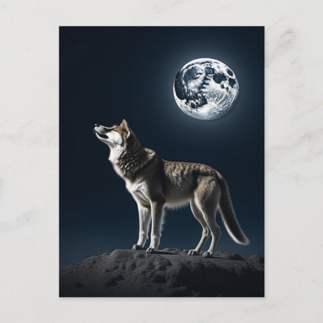 Full Moon Shining on the Wolf Blank Postcard (Front)