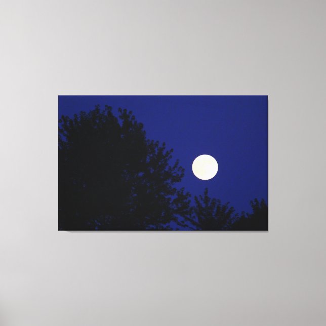 Full Moon with Trees and Blue Sky Canvas Print (Front)